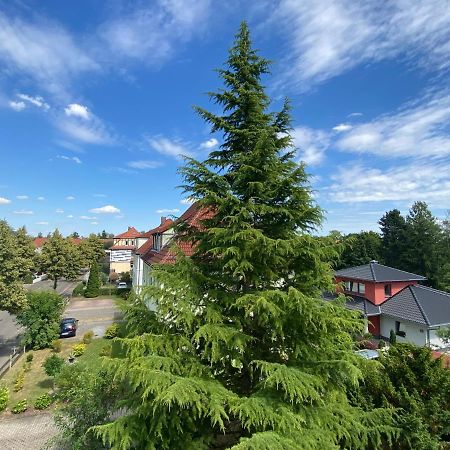 Simply Nice Appartment Borna Exterior photo