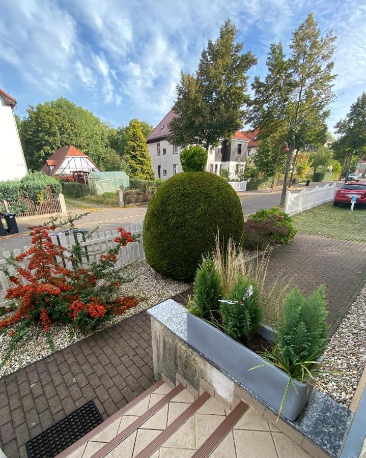 Simply Nice Appartment Borna Exterior photo